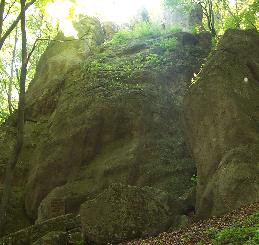 sk.jpg (16105 bytes)