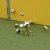 3 rocník-futbal spája