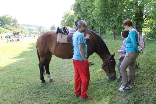 den_deti_15_266