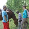 den_deti_15_265
