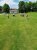 Den_deti_2021