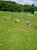 Den_deti_2021
