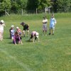 ofs_008