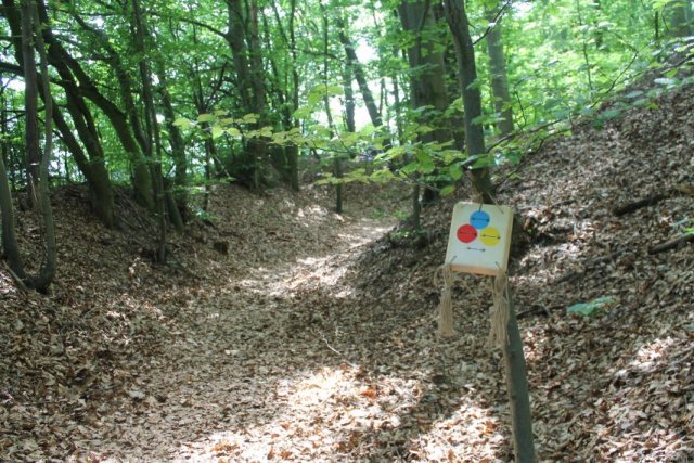 den_deti_2018_99