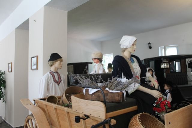 skola_v_prirode_2019_102