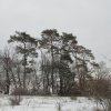 vianocna_prechadzka_12