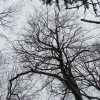 vianocna_prechadzka_7