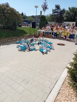 Slnečné dopoludnie Adonise
