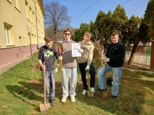 Výsadba ríbezľových kríkov