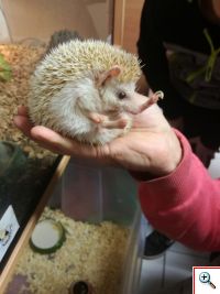 Návšteva ZOO v CVČ Myjava