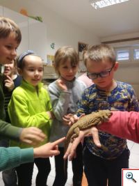 Návšteva ZOO v CVČ Myjava