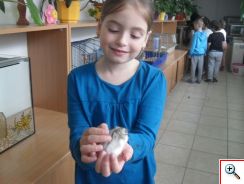 Zvieratká tety Anky
