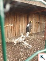 Exkurzia v ekoparku