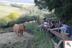 Turistika: Jesenné Bradlo