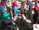 Minifarma Lubina