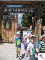 Minifarma Lubina