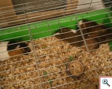 Návšteva CVČ v Myjave