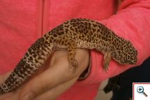 Návšteva CVČ v Myjave