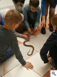 Návšteva CVČ v Myjave