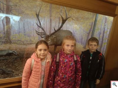 Vlastivedné múzeum Hlohovec