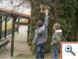Starostlivosť o vtáčiky