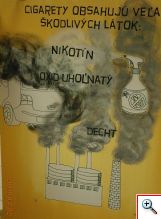 Tvoja správna voľba