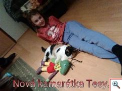 Zippy v rodinách detí