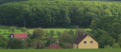 tizik.jpg (11889 bytes)